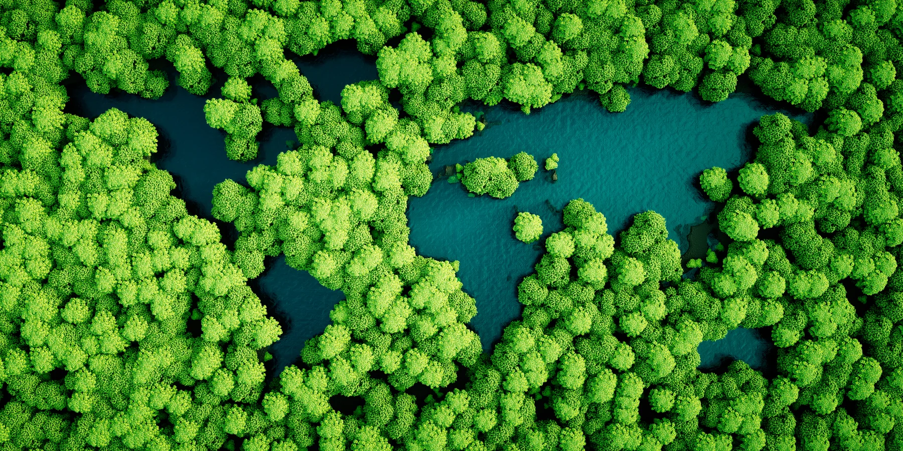 Sustainable water management landscape